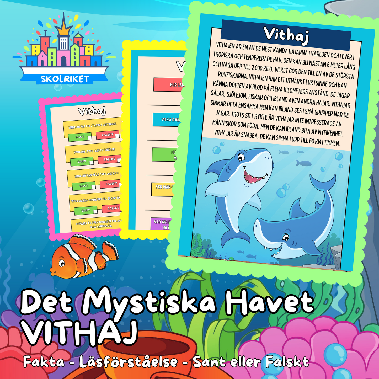 Det Mystiska Havet