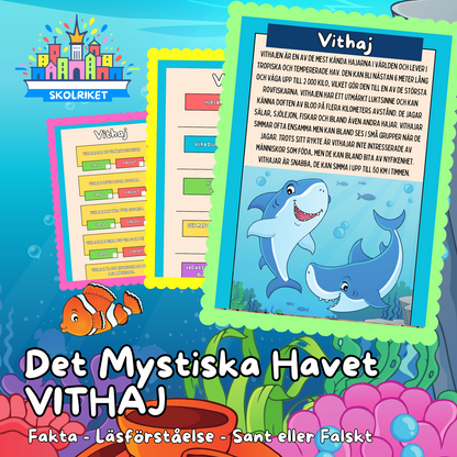 Det Mystiska Havet