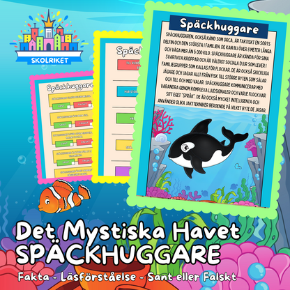 Det Mystiska Havet