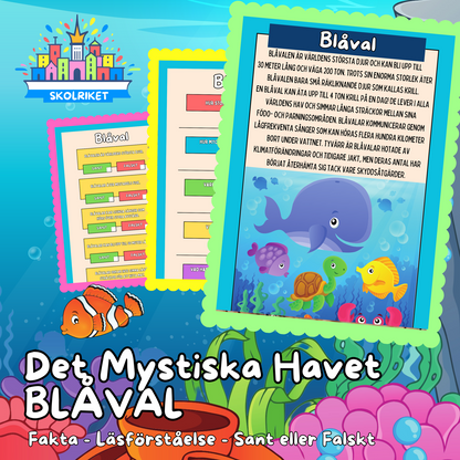 Det Mystiska Havet