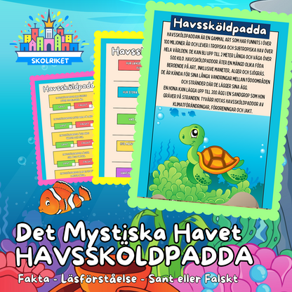 Det Mystiska Havet