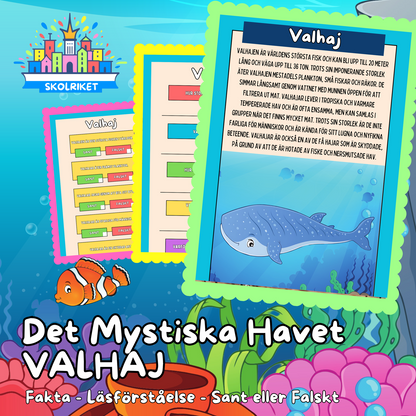 Det Mystiska Havet