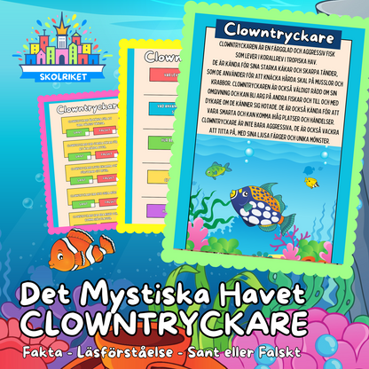 Det Mystiska Havet