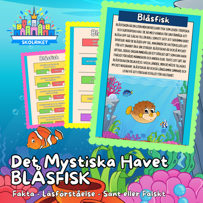 Det Mystiska Havet