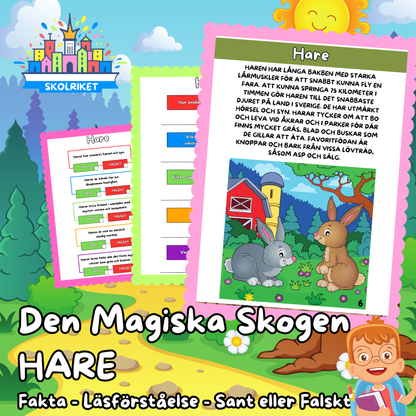 Den Magiska Skogen