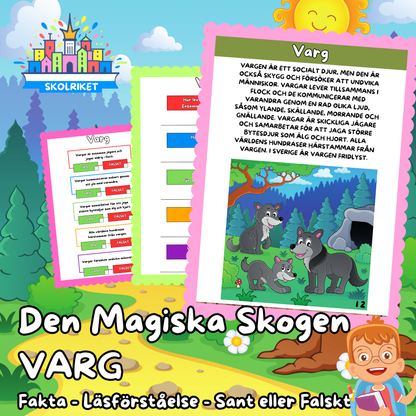 Den Magiska Skogen