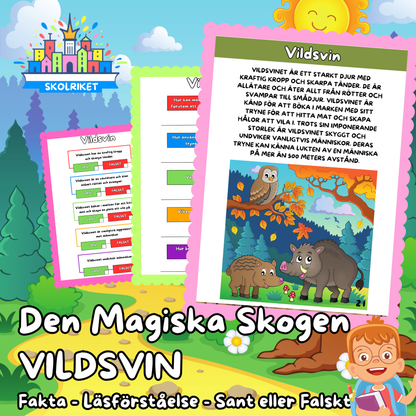 Den Magiska Skogen