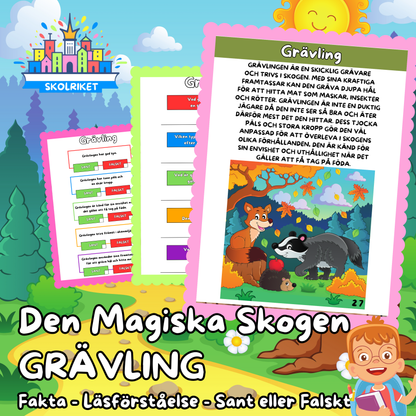 Den Magiska Skogen