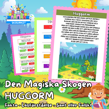 Den Magiska Skogen