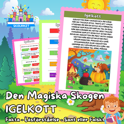 Den Magiska Skogen