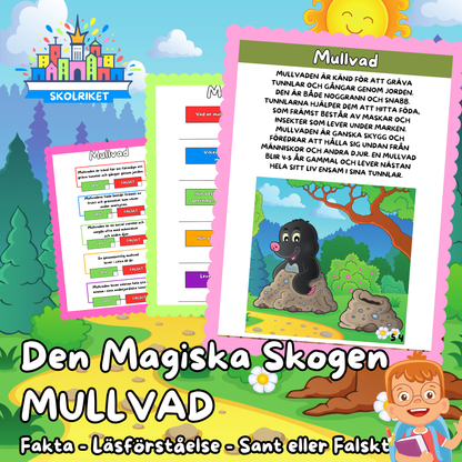 Den Magiska Skogen